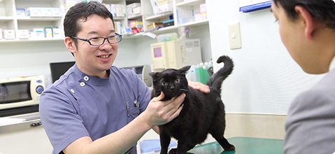 地域密着で気軽に来院しやすい動物病院