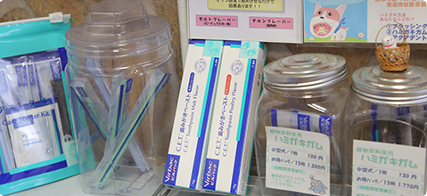 食生活指導や健康相談などを通じた予防対策